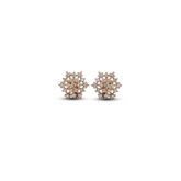Golden Sparkle Zircon Stud Earrings